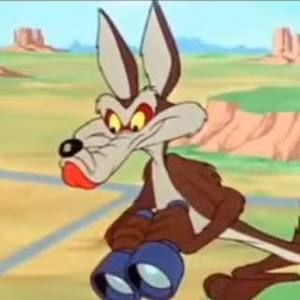 Meet your Posher, Riley